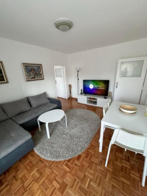 Apartman Dedinje - Hyde Park
